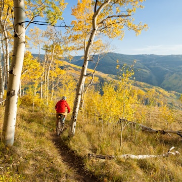 Scenic location in peak fall colors with golden aspens and scenic mountain views. Recreation on singletrack in mountains. Captured as a 14-bit Raw file. Edited in 16-bit ProPhoto RGB color space.